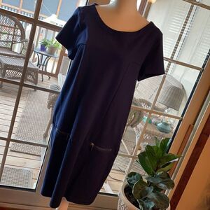 Gap Pullover Shift Dress Exposed Zipper Pockets L